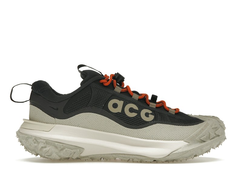 Nike ACG Mountain Fly 2 Low Goretex