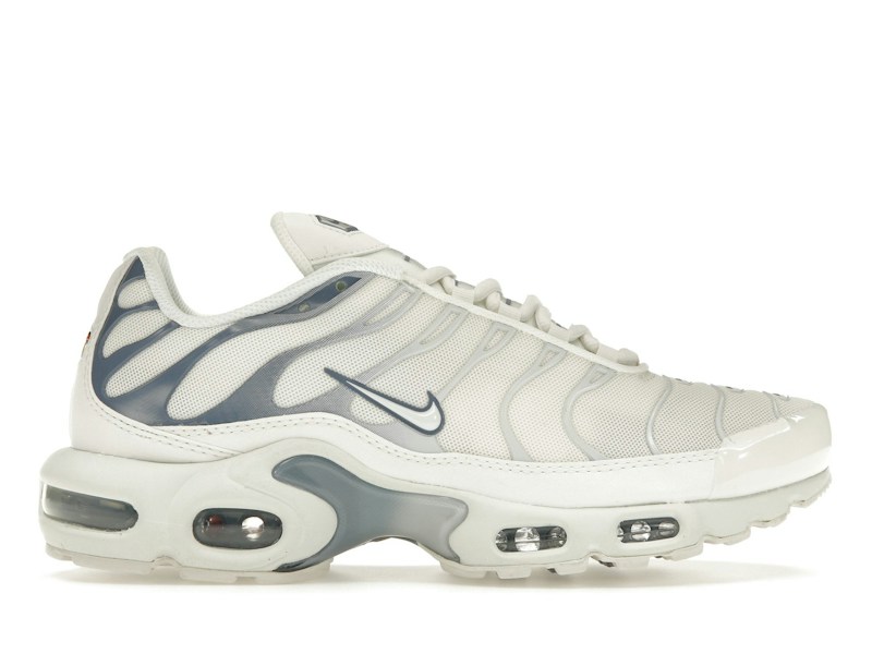 Nike Air Max Plus Ashen Slate