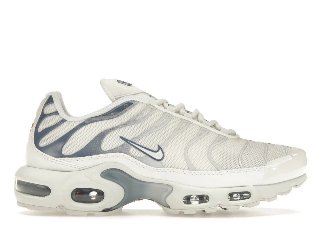Nike Air Max Plus Ashen Slate