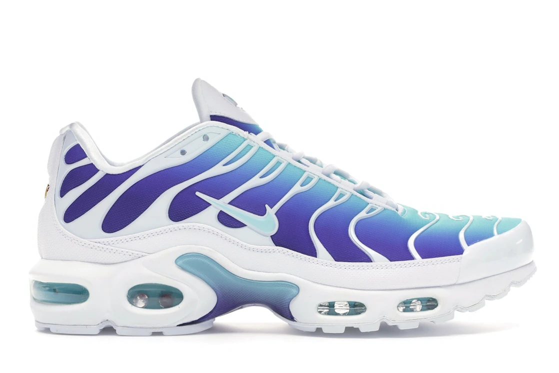 Nike Air Max Plus Bleached Aqua Fierce Purple