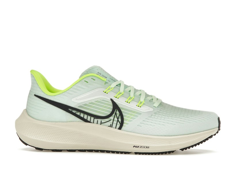 Nike Air Zoom Pegasus 39