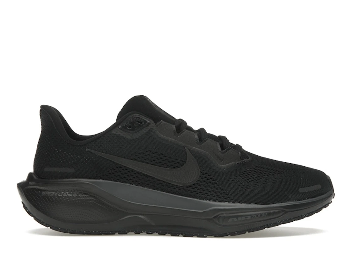 Nike Air Pegasus 41 GTX