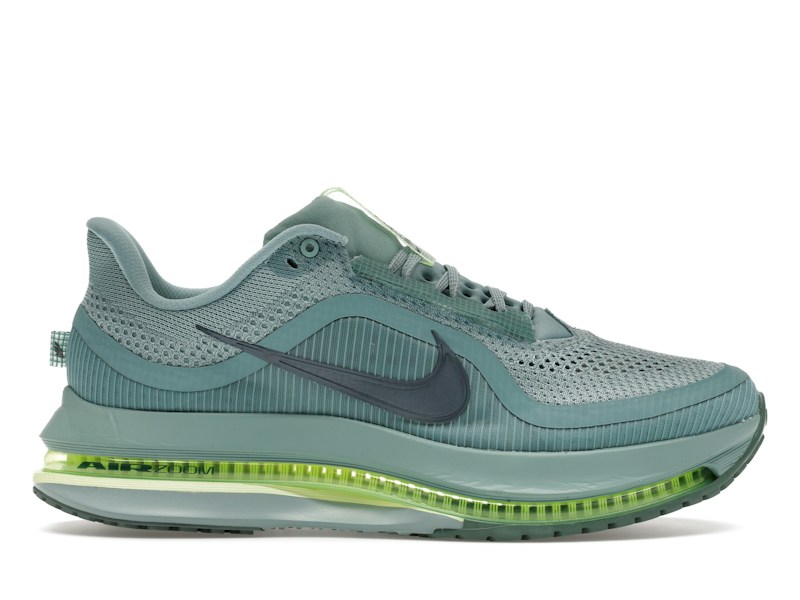 Nike Pegasus Premium