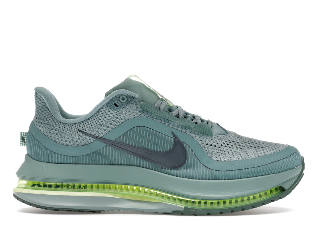Nike Pegasus Premium
