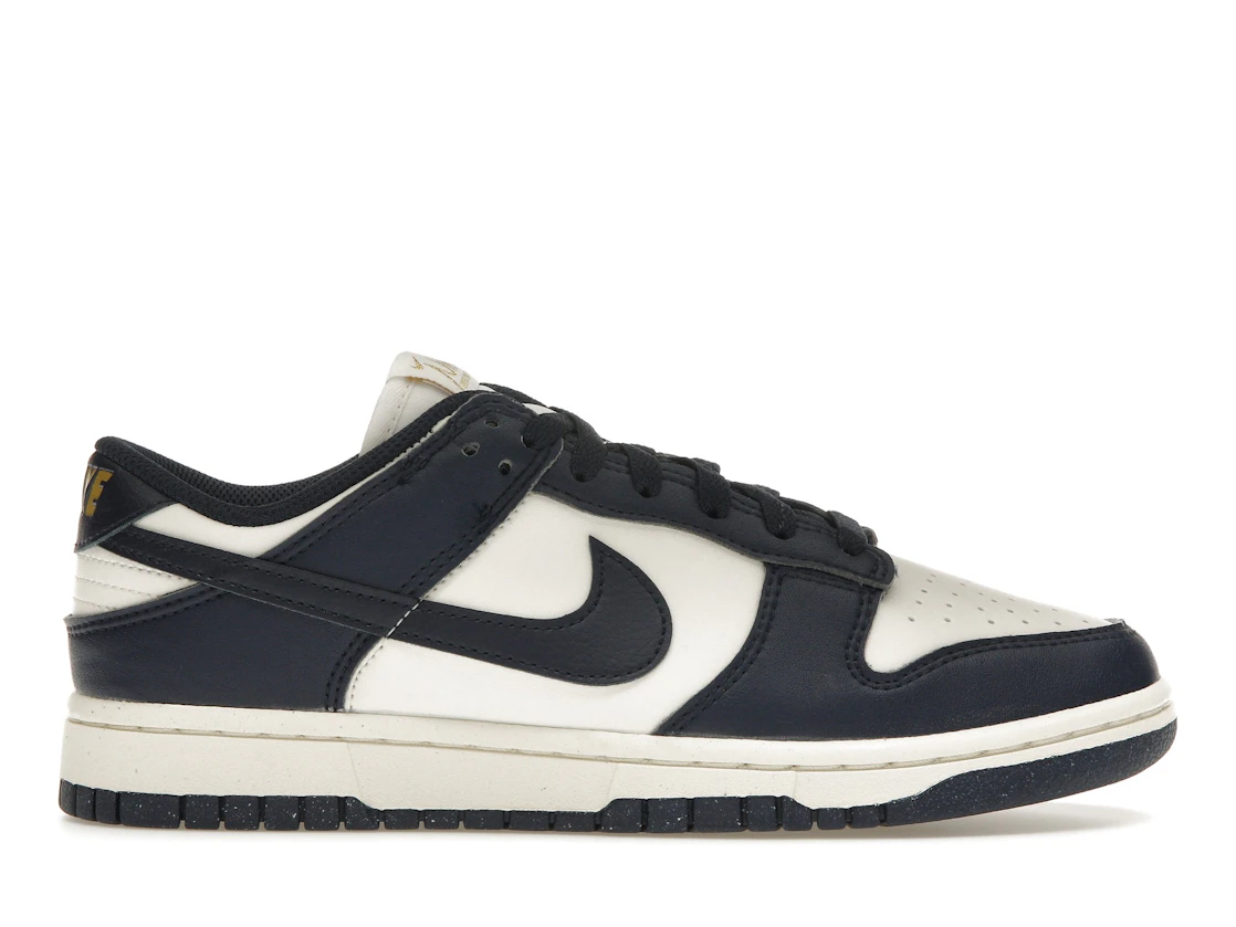 Nike Dunk Low Next Nature FZ6770-001