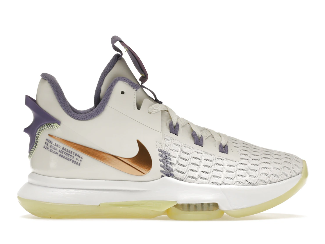 Nike Lebron Witness V