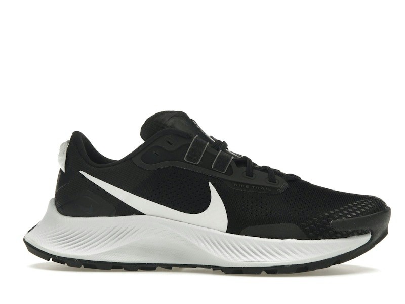 Nike Pegasus Trail