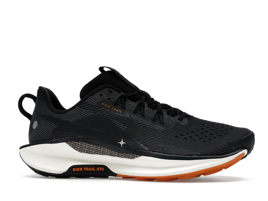 Nike Pegasus Trail 5