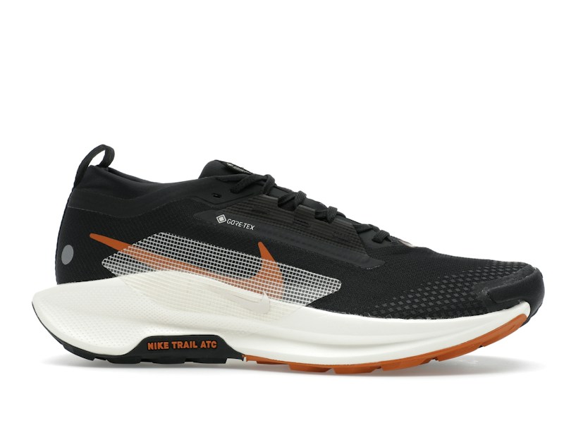 Nike Pegasus Trail 5 Gore-Tex