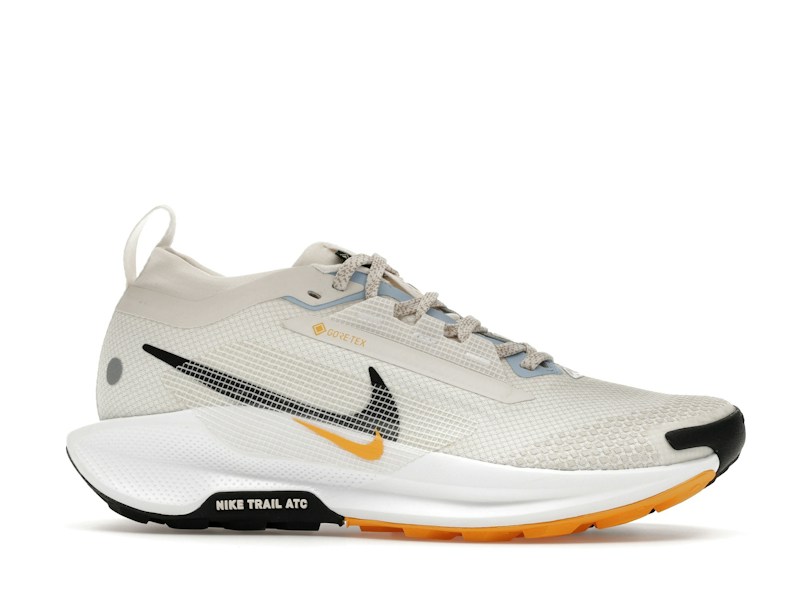 Nike Pegasus Trail 5 Gore-Tex