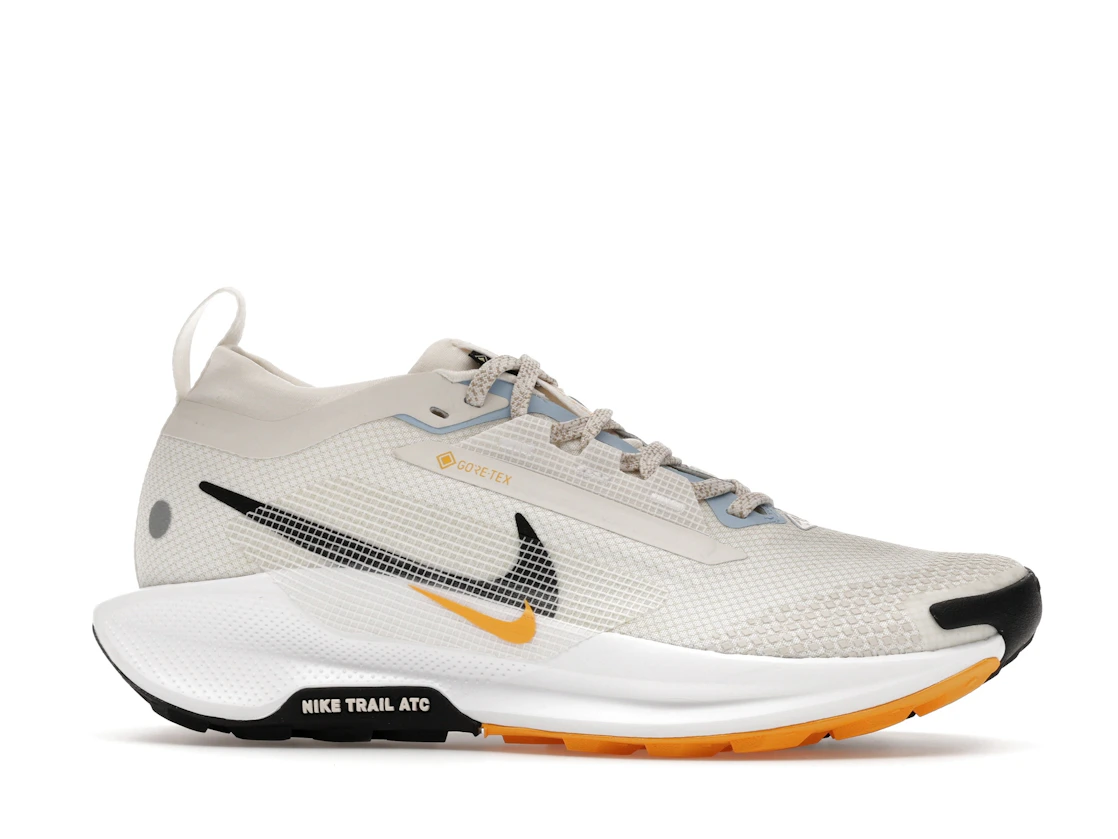 Nike Pegasus Trail 5 Gore-Tex