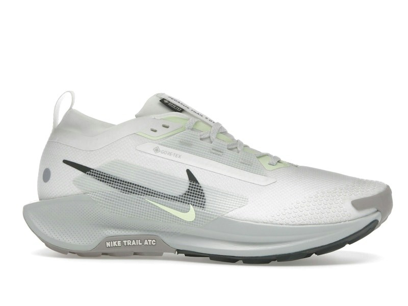 Nike Pegasus Trail 5 Gore-Tex