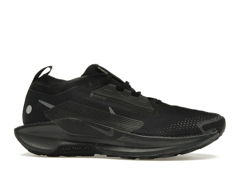Nike Pegasus Trail 5 GORE-TEX