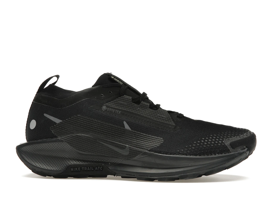 Nike Pegasus Trail 5 GORE-TEX